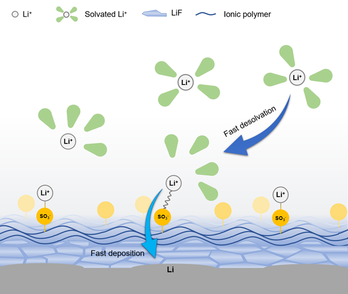 Single-ion polymer coating concept