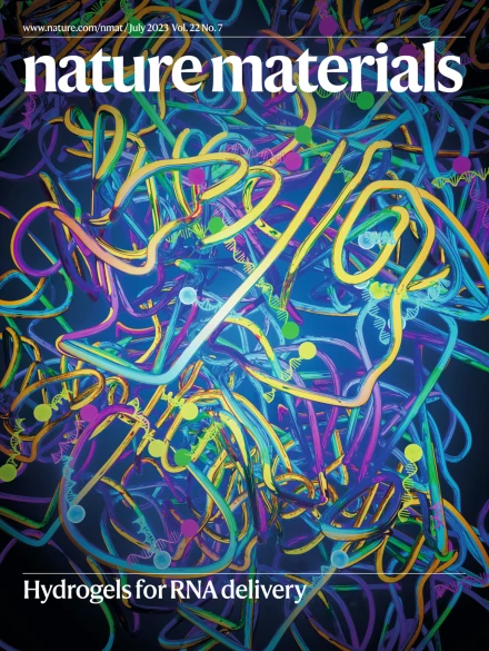 Nature Materials cover visual